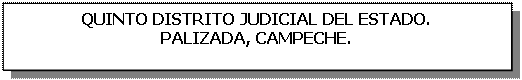 Cuadro de texto: QUINTO DISTRITO JUDICIAL DEL ESTADO.  PALIZADA, CAMPECHE.    