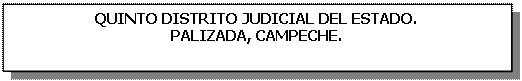 Cuadro de texto: QUINTO DISTRITO JUDICIAL DEL ESTADO.  PALIZADA, CAMPECHE.    